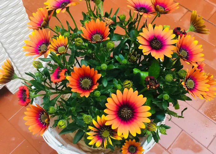 Ca'tronconi Ai Frari * Venise