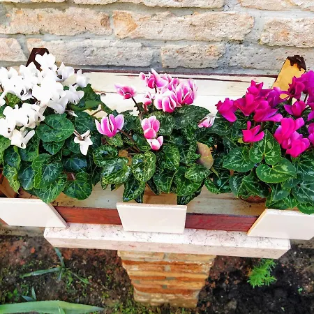 Ca'tronconi Ai Frari Apartment *