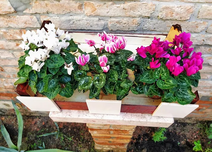 Ca'tronconi Ai Frari Daire *