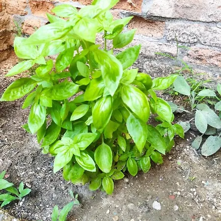 Ca'tronconi Ai Frari Apartmán