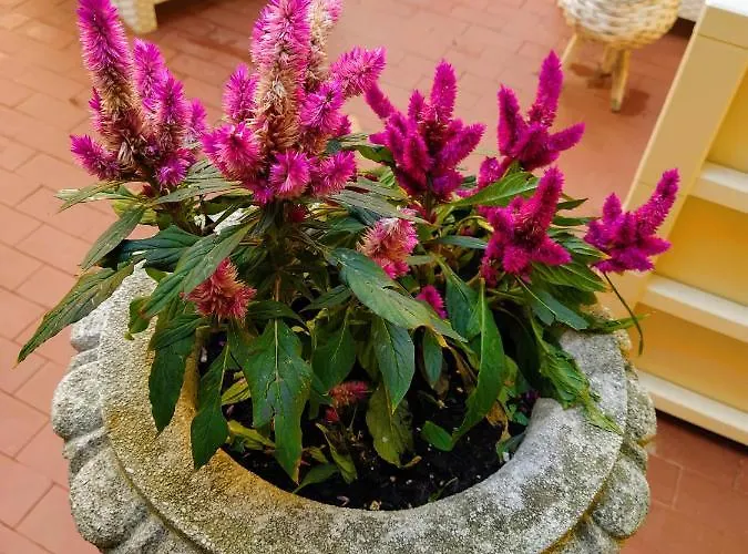 Ca'tronconi Ai Frari